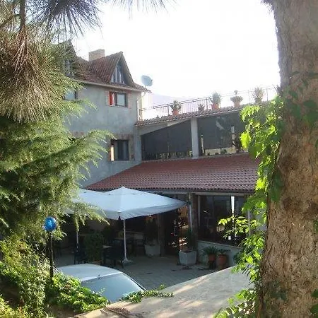 Bruci 3*